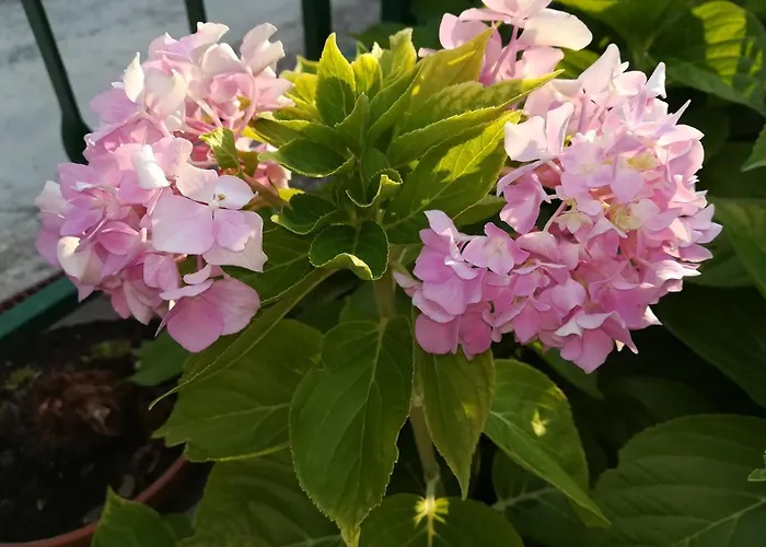 Appartement Perkovic Šibenik